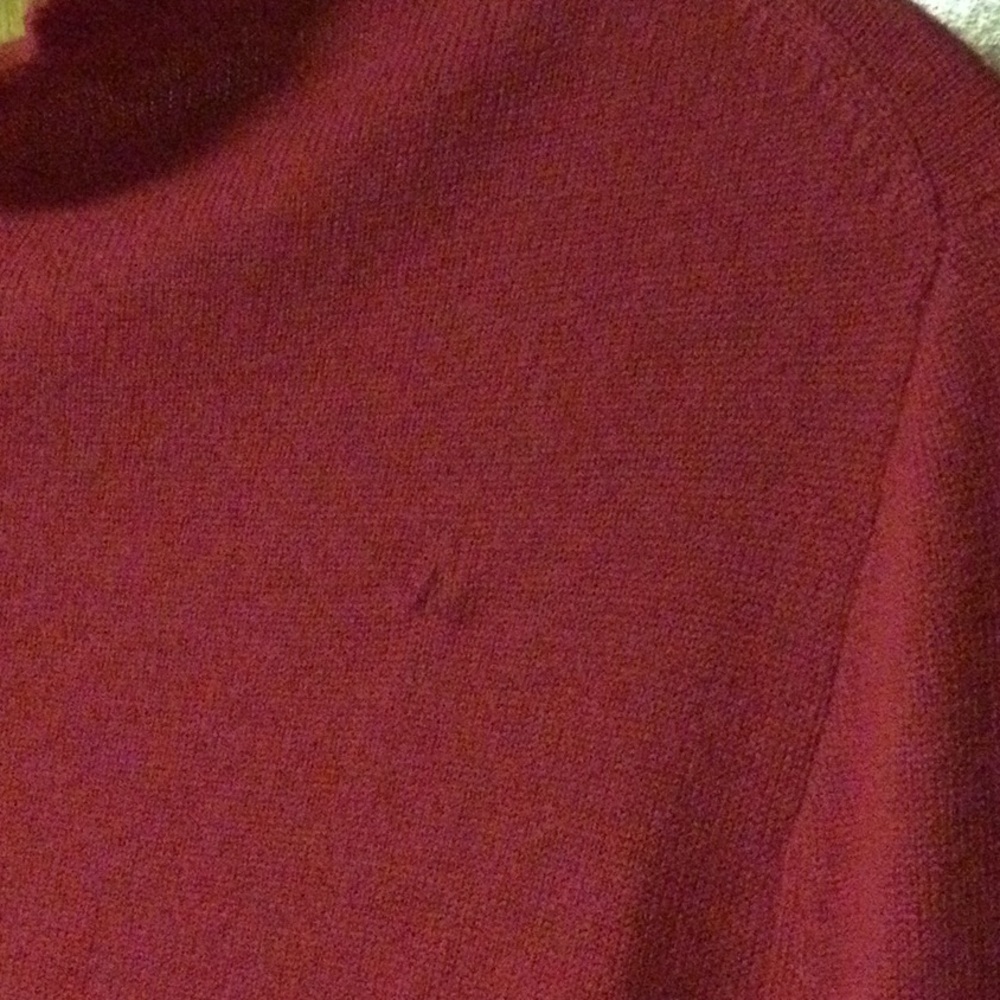 J Crew Raspberry Crystal Embellished Button Up - image 5